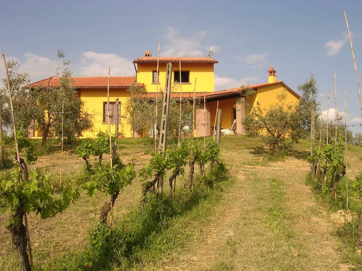 Villa In Campagna Costa Al Bagno Montopoli in Val dʼArno エクステリア 写真