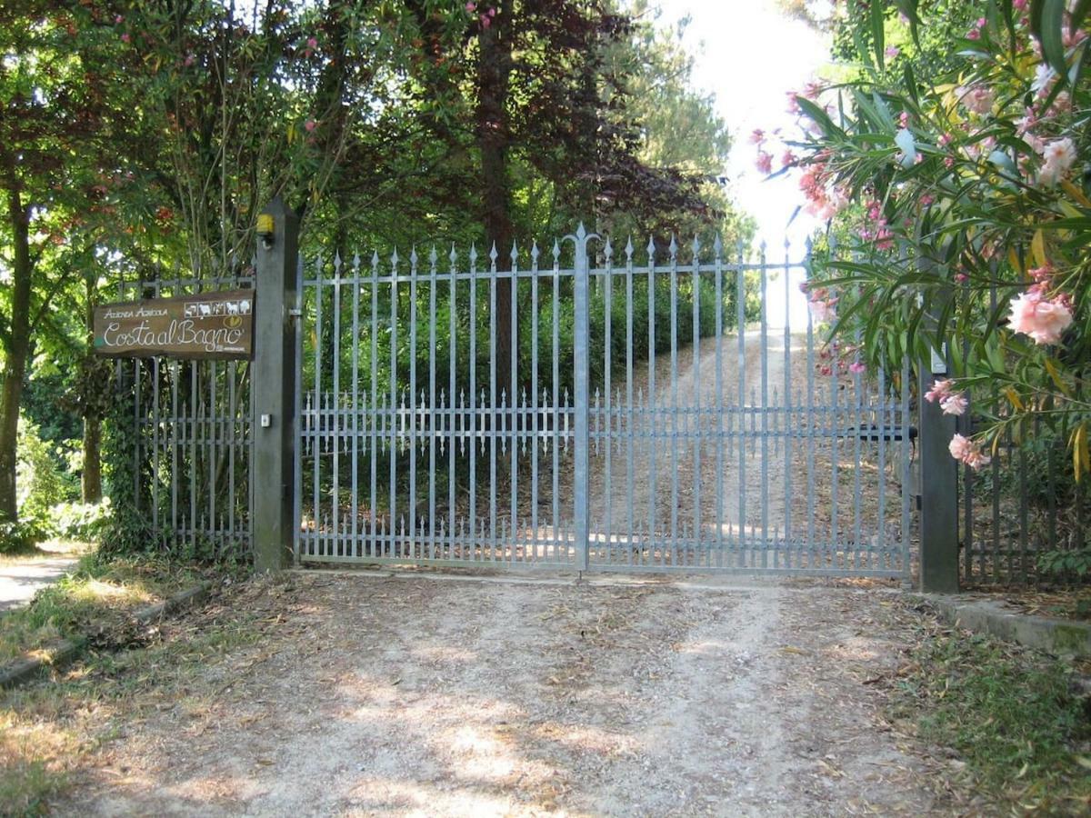 Villa In Campagna Costa Al Bagno Montopoli in Val dʼArno エクステリア 写真