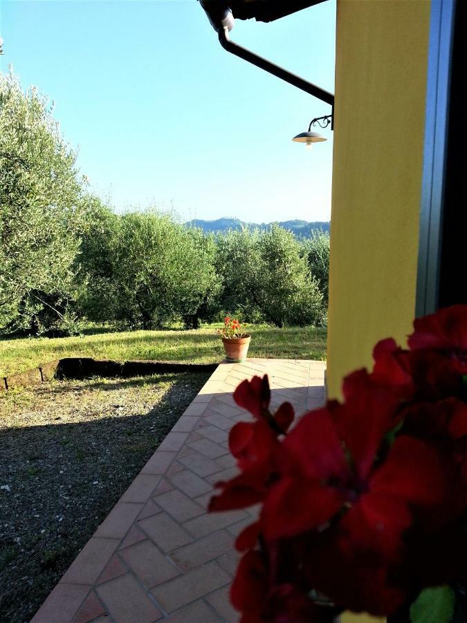 Villa In Campagna Costa Al Bagno Montopoli in Val dʼArno エクステリア 写真